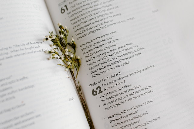 Bible Verses on Hope in Psalms Bible Verses on Hope in Psalms